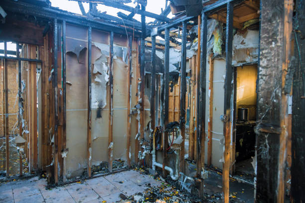 Professional Structural Rebuild technician working in Detroit Beach, MI